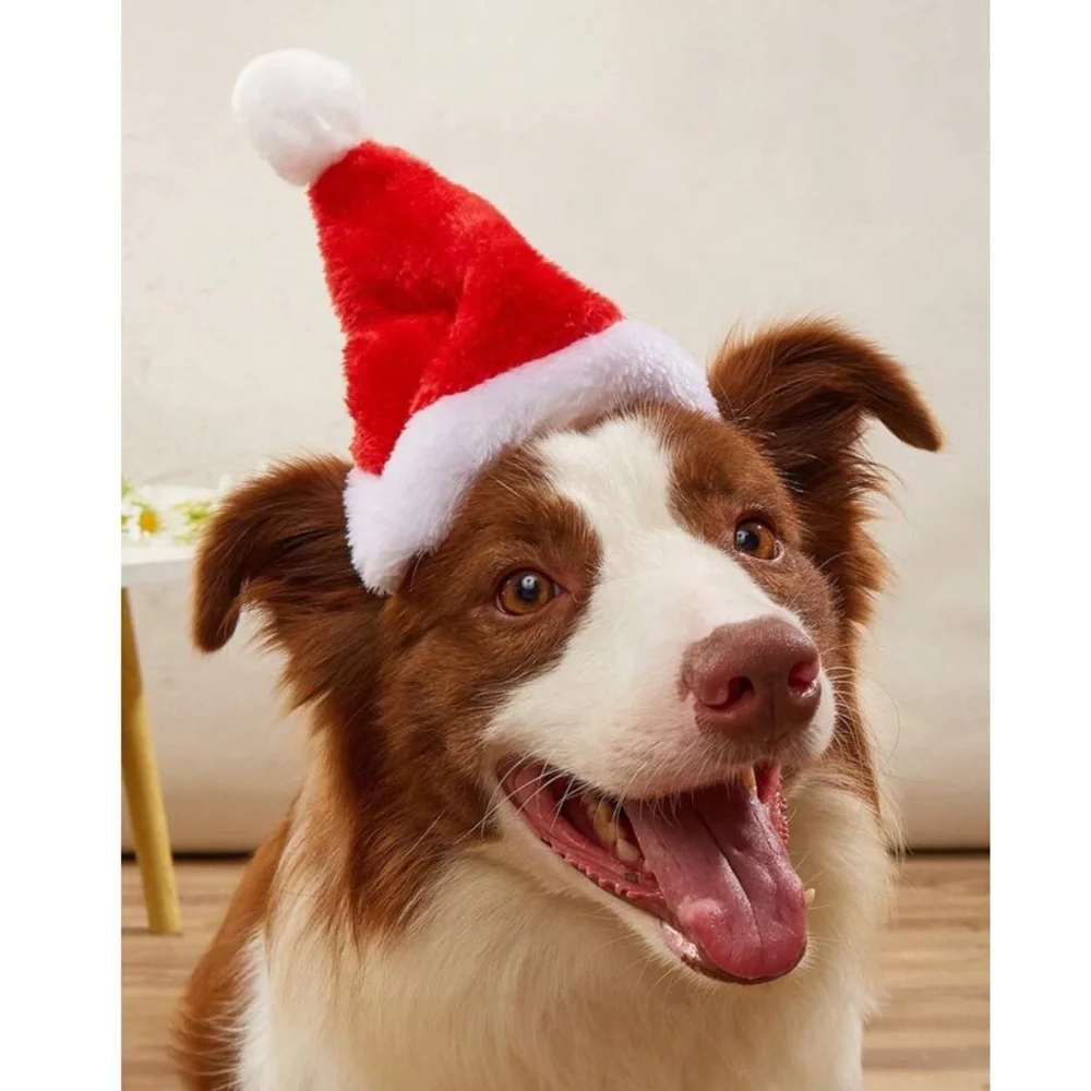 Dog Santa Hat